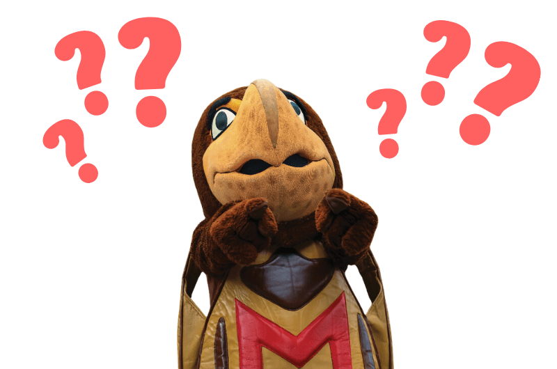 Testudo with question marks above their head.