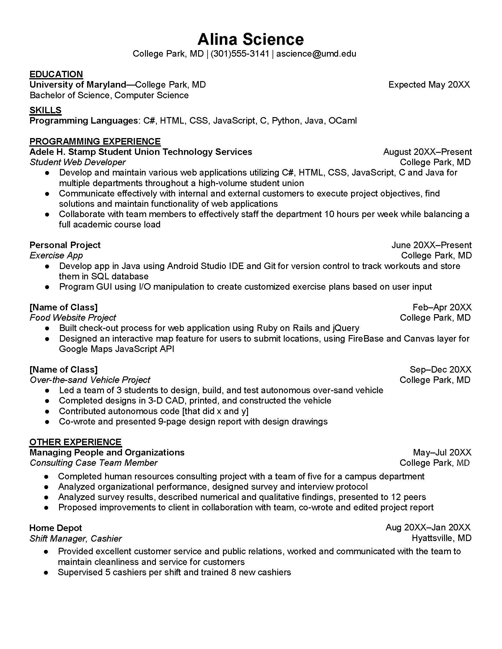 Technology Sample Resume.