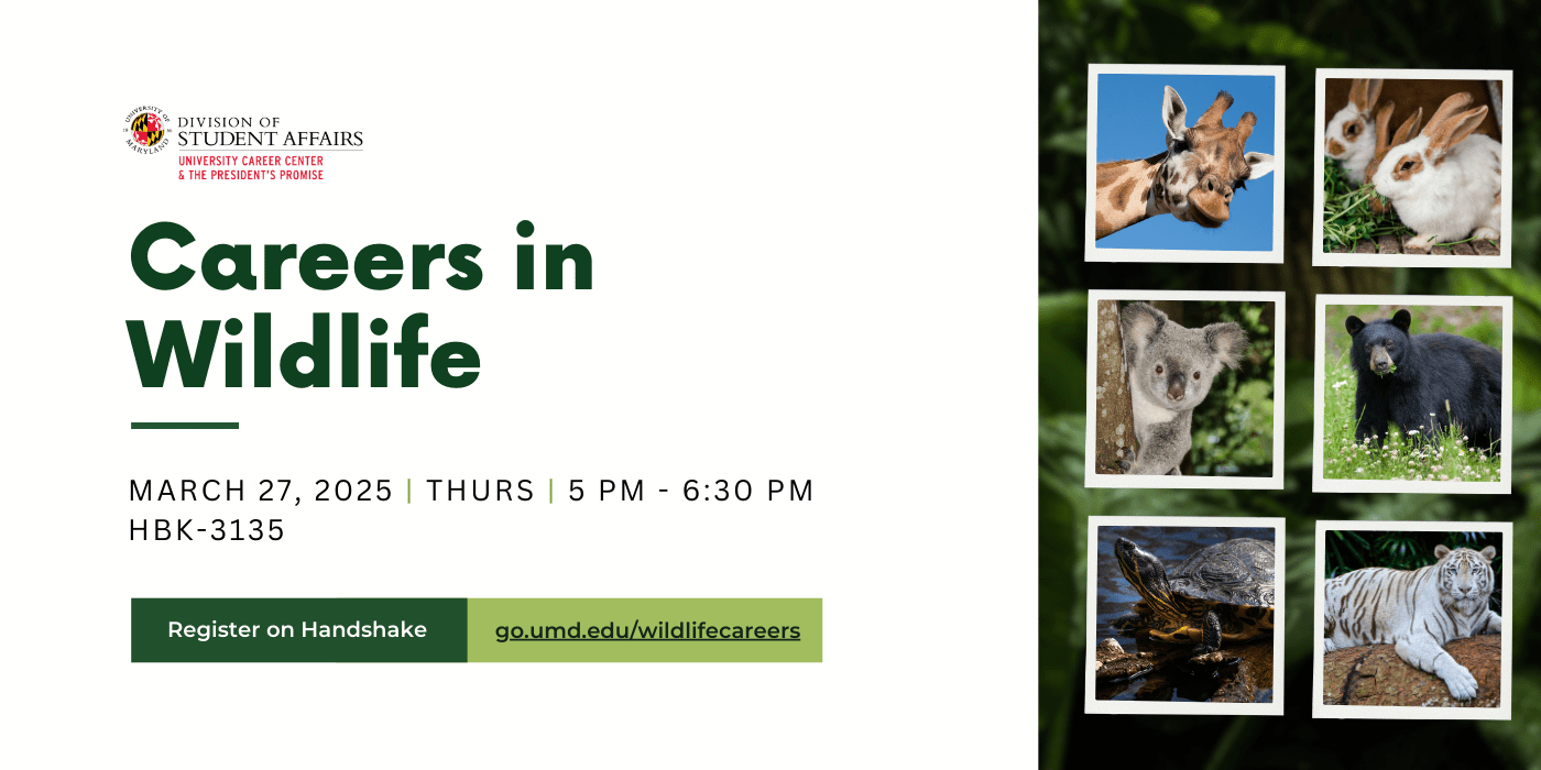 Careers in Wildlife Image