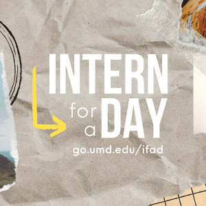 Intern For A Day Fall 2022