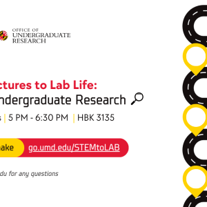 From STEM Lectures to Lab Life: A Guide to Undergraduate Research Image